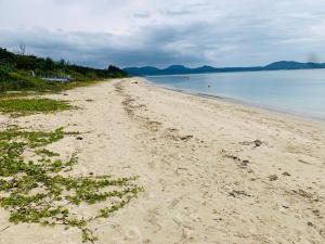 広い畳間と外には広いウッドデッキCondominium和風邸Yanbaru