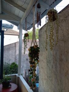 Departamento Marietta