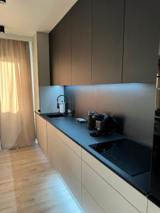 Komfortowy Apartment z jedną sypialnia 60m kw Lokalizacja Poznań Baranowo