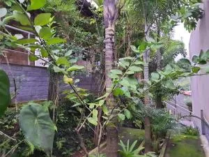 Casa Alto Padrão - 沃尔塔雷东达