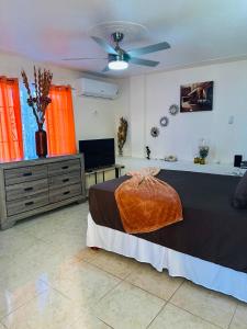 Hibiscus View Apartment Rental