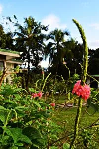 Villa Buenaventura Loft - Chachagua