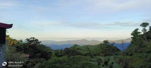 Mount Pulag SMR Homestay