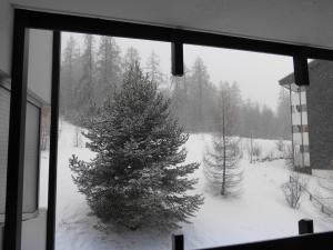 Appartements Studio confortable 4 couchages avec balcon et parking au Sauze - FR-1-804-34 : photos des chambres