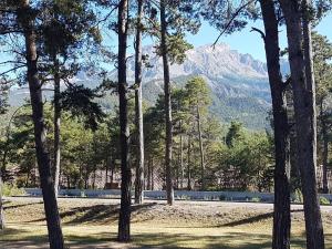 Appartements Duplex 3 pieces avec balcon, proche Barcelonnette - FR-1-804-35 : photos des chambres