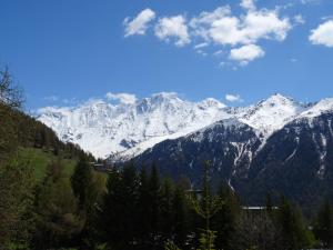 Chalet cosy 8 pers à Plan Peisey, proche pistes, avec cheminée et WIFI - FR-1-411-978
