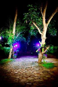 Ath Hala Safari Resort