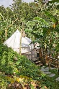 Kalikasan Glamping Resort near Manila with Overlooking Pool and Starlink