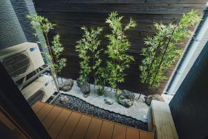 JS暁宅-清薫 seikun