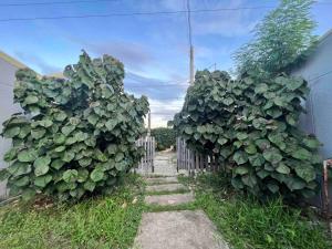 Modern Country Inspired home with High-speed Wifi