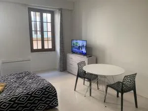 Grand Studio Historique 30m2 - hypercentre - 尚贝里