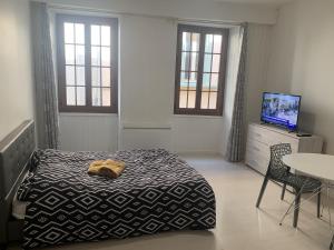 Appartements Grand Studio Historique 30m2 - hypercentre : photos des chambres