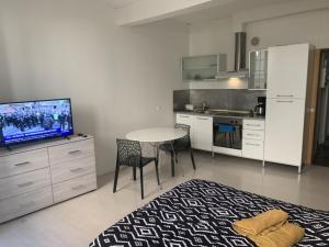 Appartements Grand Studio Historique 30m2 - hypercentre : Appartement 1 Chambre