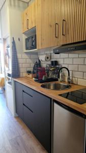Appartements Studio avec terrasse privative : photos des chambres
