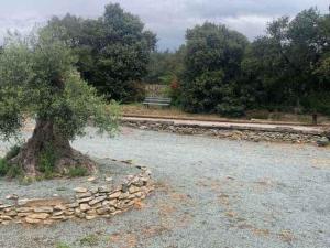 Beautiful architectural villa 10 pool beds