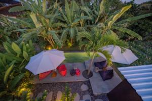 Wander Havens Digital Nomad Tiny Houses