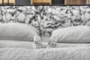 F2 rue St honoré D ,Hypercentre à 2 minutes du Palais des congrès