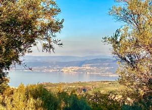 Casa Ruris - Country residence