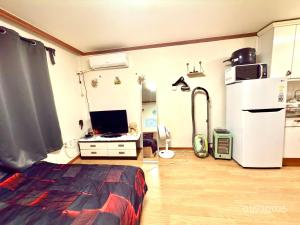 Spacious Studio Apt (Myeong-dong)