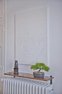 Appartements Magnolia : photos des chambres