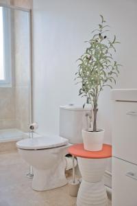 Appartements Magnolia : photos des chambres