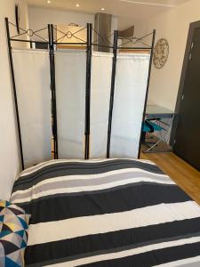 Appartements Nancy, Magnifique studio totalement climatise, meuble, salle de bains et wc separes, parking prive, cuisine equipee, WIFI : photos des chambres