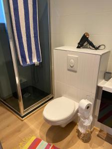 Appartements Nancy, Magnifique studio totalement climatise, meuble, salle de bains et wc separes, parking prive, cuisine equipee, WIFI : photos des chambres