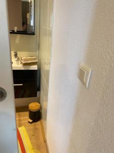 Appartements Nancy, Magnifique studio totalement climatise, meuble, salle de bains et wc separes, parking prive, cuisine equipee, WIFI : photos des chambres