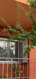 Lefkas Apartment - Kalligónion