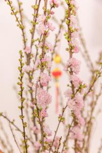 Saigon south Residence 2PN, 2WC