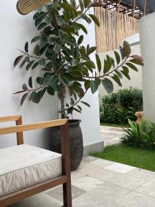 Top Villa Ilo, best area near canggu 250 m2 on 750 m2 land