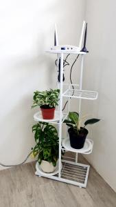 Joms Minimalist Crib Nuvali