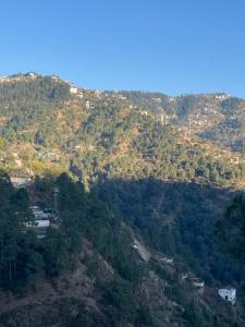 Tara Anchal Nature Huts