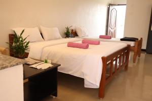 THE MOUNT VIEW CASTLE HOTELS and RESORTS