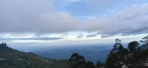 Thumb Up Family Rest - Nikapotha