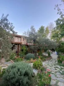 Pavelin Yeri Otel - 库古库俞