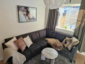 New&cozy apartment near Vrådal Panorama Ski Resort, Golf and Beach - 弗罗达尔