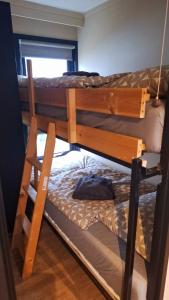 luxury chalet by the forest!