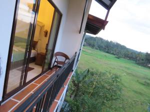 Wildlife Kingdom - Deniyaya Sinharaja