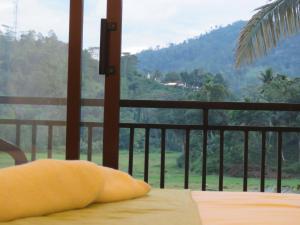 Wildlife Kingdom - Deniyaya Sinharaja