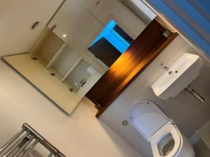 Quibid Comfort Cove QS016