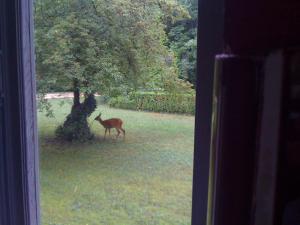 Villas Domaine de Seche-Bouteille : photos des chambres
