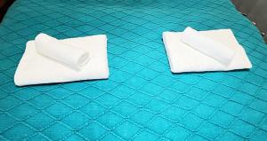 SHINSEKI 303 NEW OPen 割引あり 千鳥橋駅徒歩8分 USJまで近い 難波まで電車11分 2LDK広いリービング