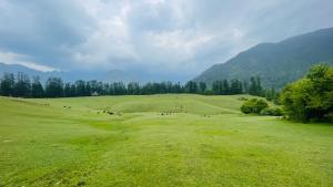 Mountain River Homestay