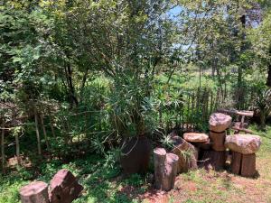 Cave View self catering cottages