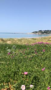 Appartements Appartement de la plage : photos des chambres