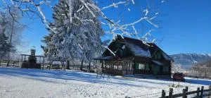 Cabana ciocanu - Ciocanu