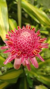 Casa rural Las Margaritas- coraxaon da mata