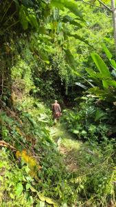 Eco Farmstay Finca Las Aguas
