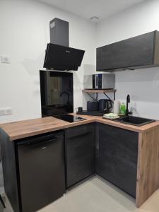 Appartements Oasis SpaLagon Chauffe climatise Arena parc expo : photos des chambres